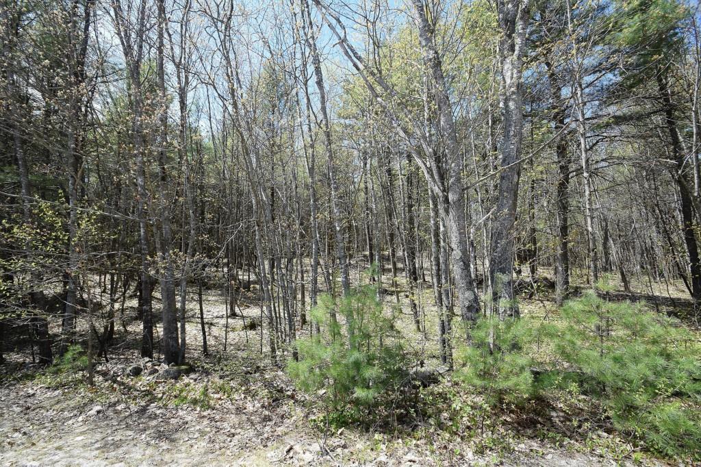 Lot 1 Tenny Hill Road Raymond, ME 04071 - Photo 8 of 11 Photo