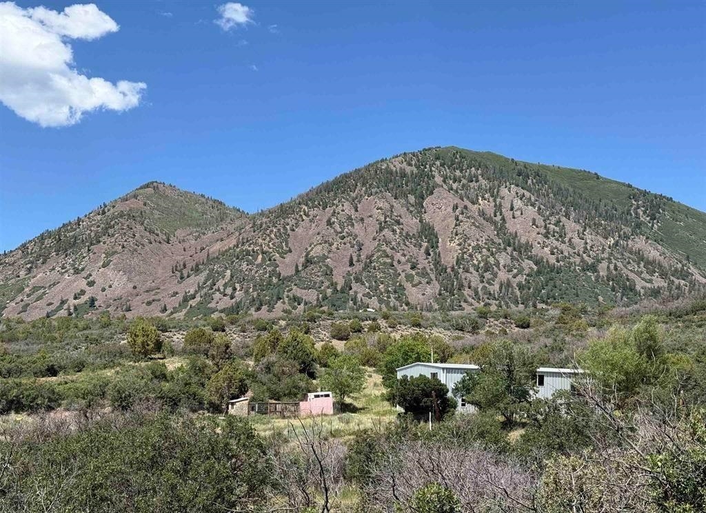 43867 Long Gulch Road Crawford, CO 81415 - Photo 3 of 42 Gallery Image 3
