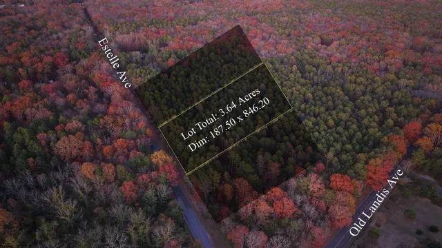 $27,500 | B:534-l:11.02 Estelle Avenue, Mays Landing, NJ 08330