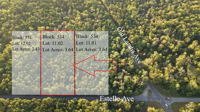 $27,500 | B:534-l:11.02 Estelle Avenue, Mays Landing, NJ 08330