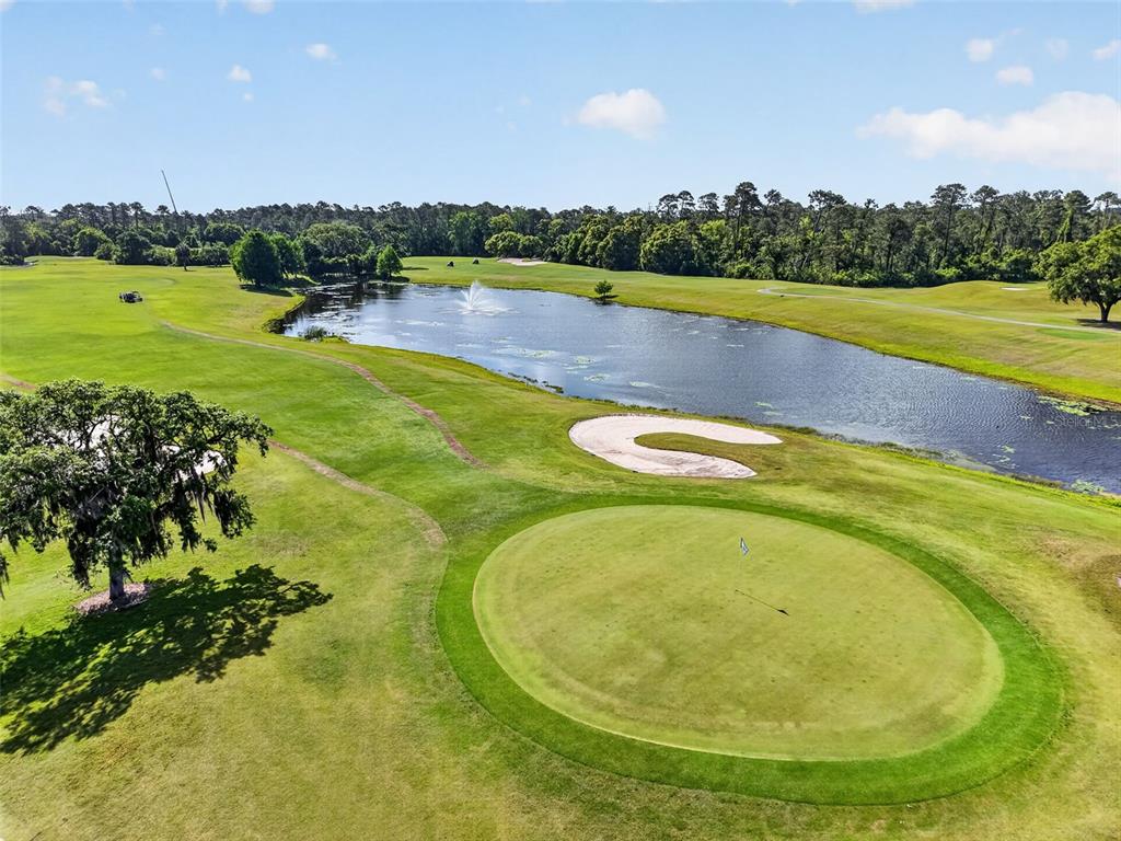 1880 Edgewater Drive Mount Dora, FL 32757 - Photo 44 of 53