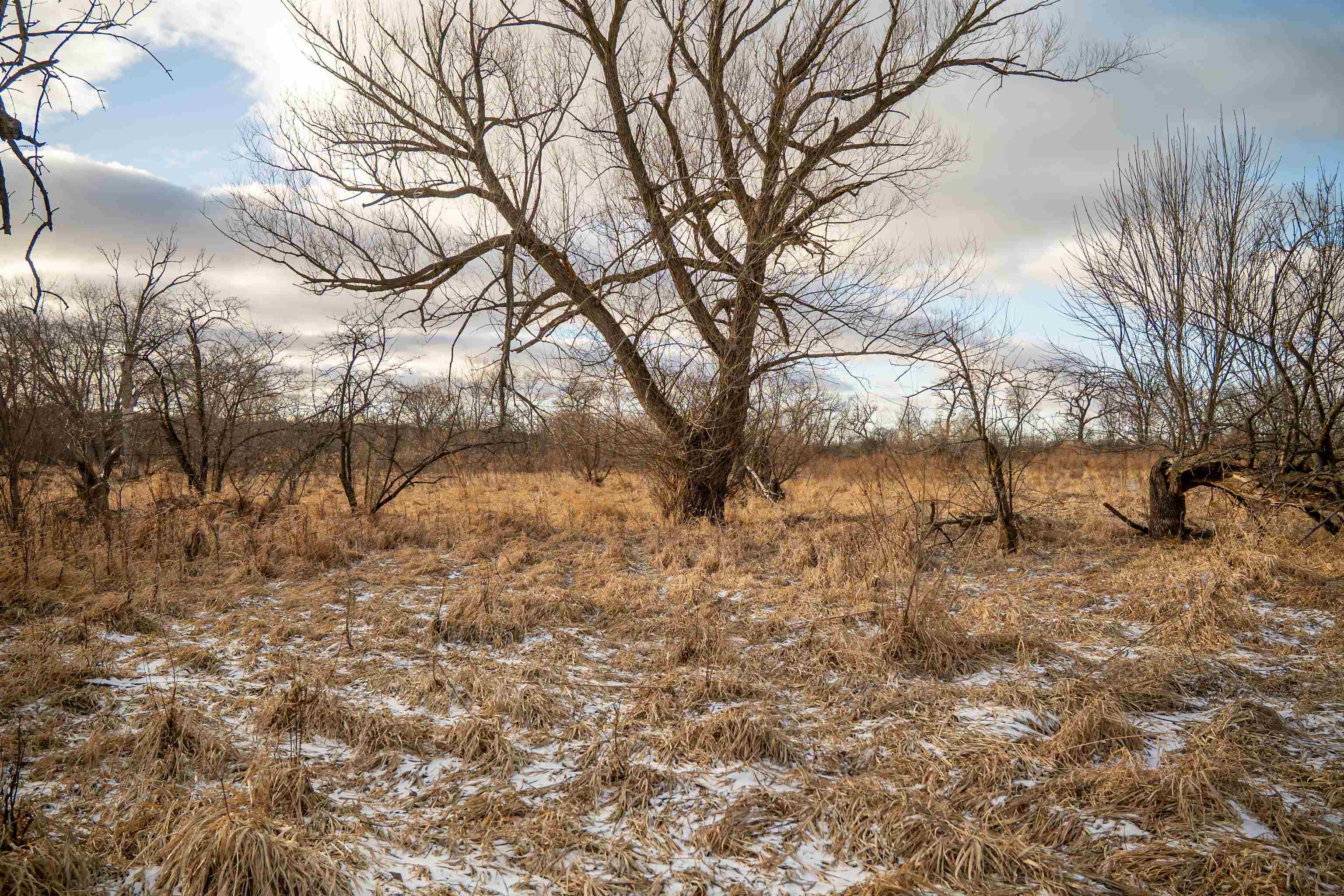 0 North Kishwaukee Road Stillman Valley, IL 61084 - Photo 13 of 46