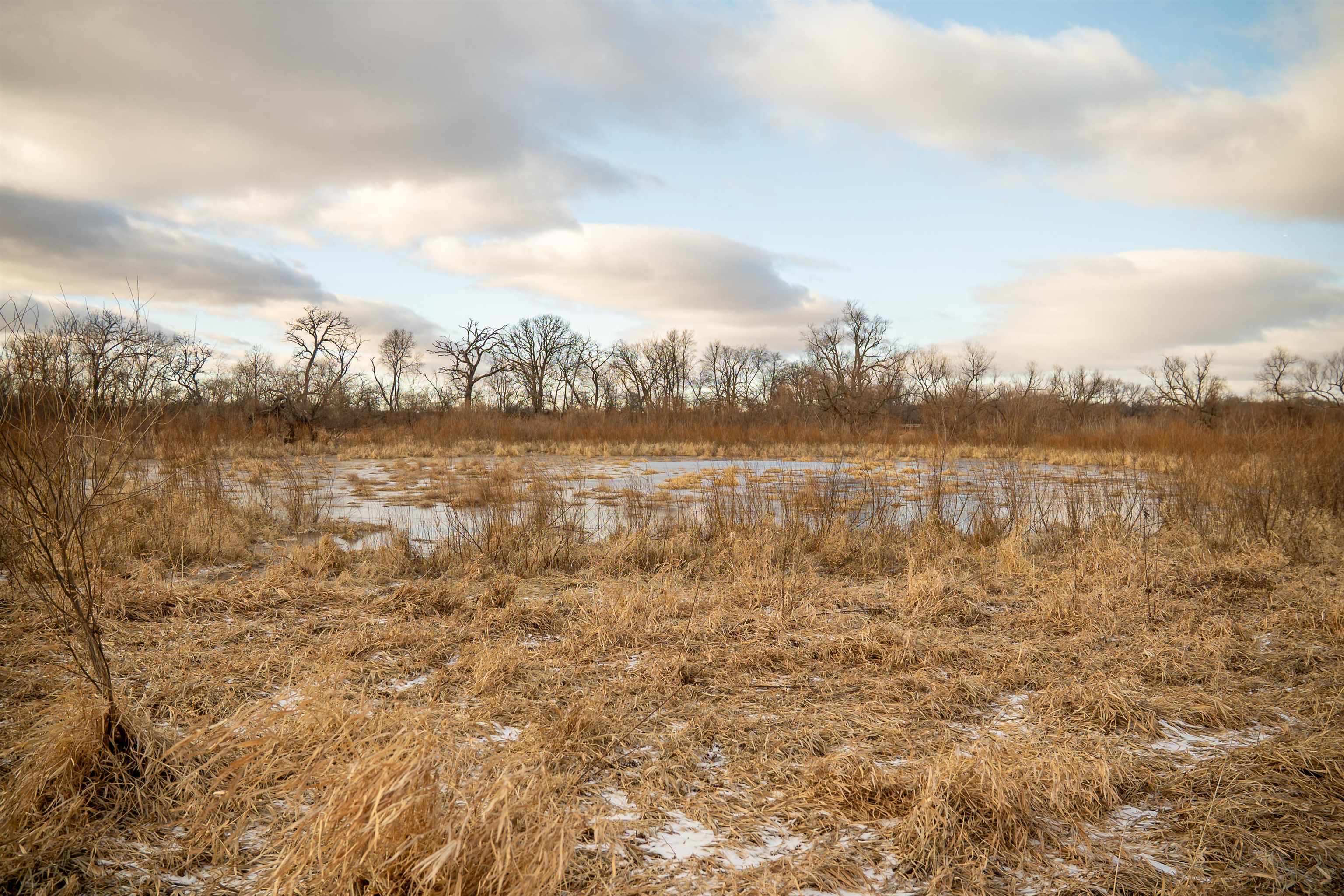 0 North Kishwaukee Road Stillman Valley, IL 61084 - Photo 14 of 46