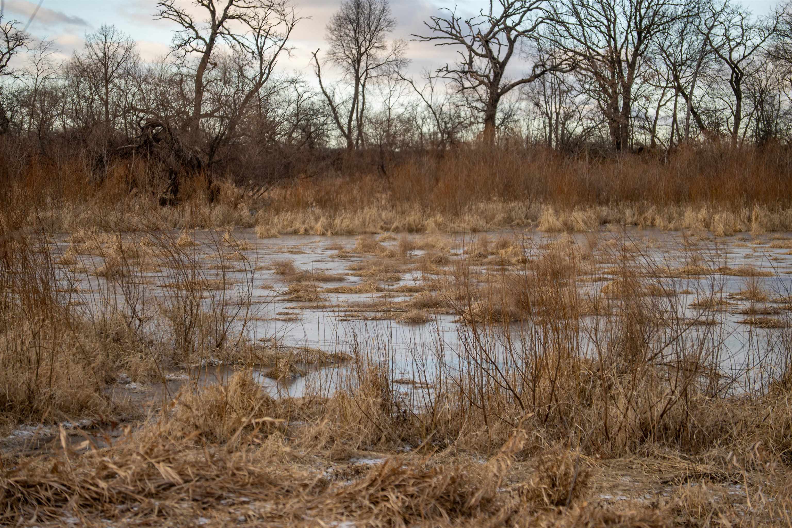 0 North Kishwaukee Road Stillman Valley, IL 61084 - Photo 15 of 46