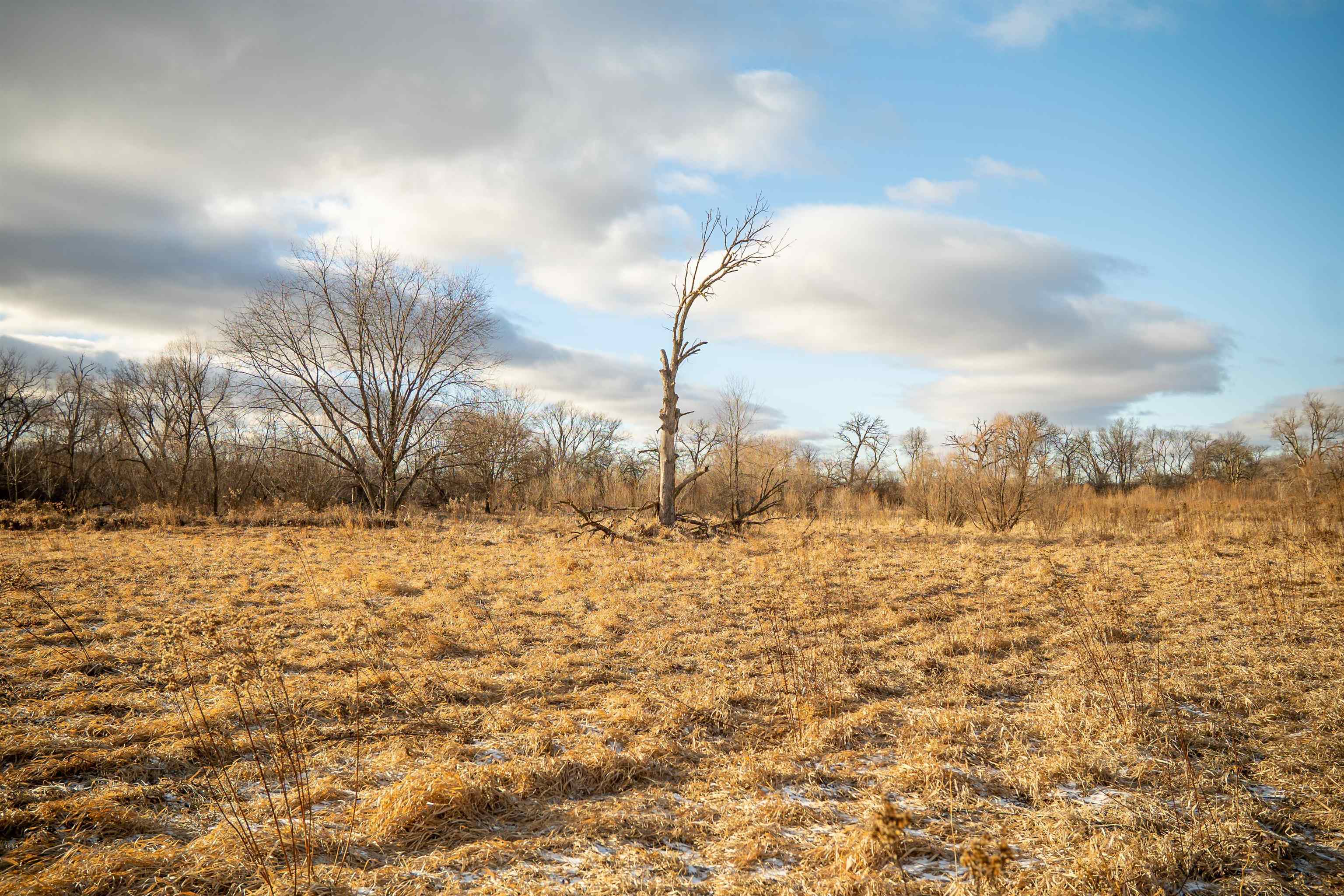 0 North Kishwauke Road Stillman Valley, IL 61084 - Photo 22 of 46