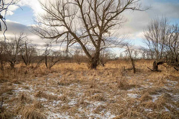a view of a city and ocean