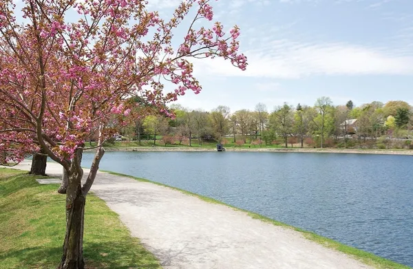 $2,940,000 | 140 Dudley Street, Brookline, MA 02445