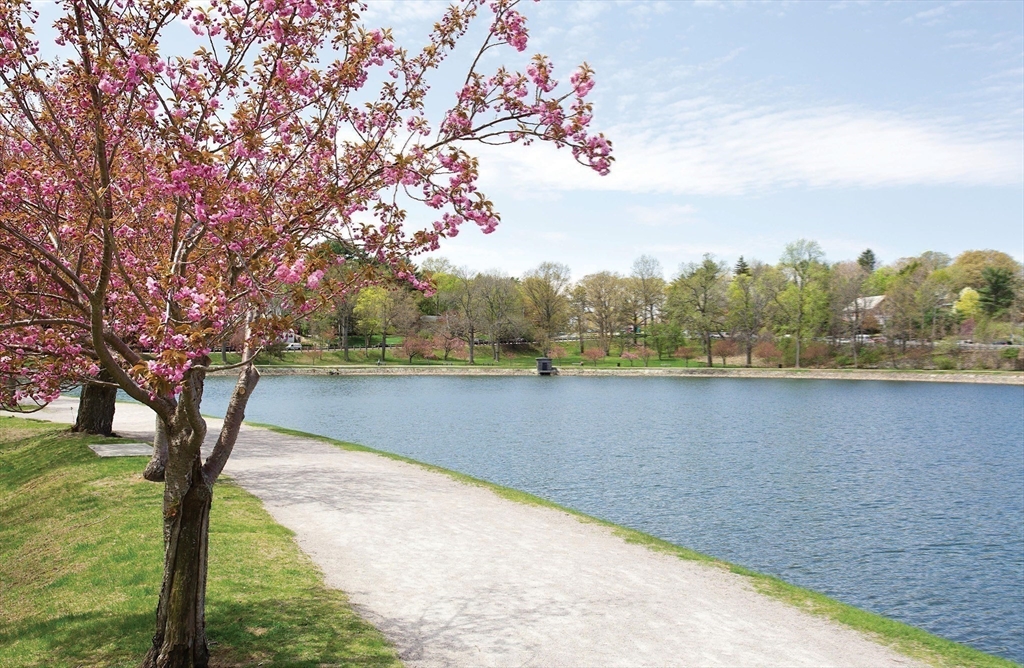 140 Dudley Street Brookline, MA 02445 - Photo 21 of 26