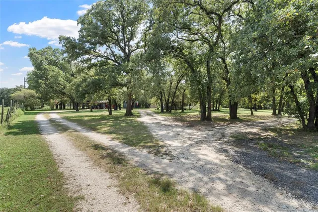 a view of park space