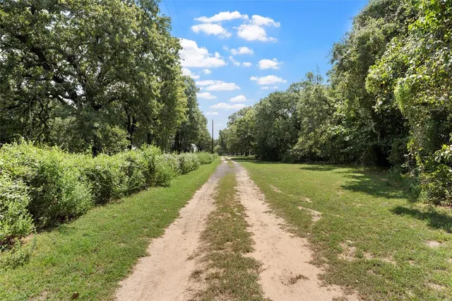 a view of a big yard with lots of green space