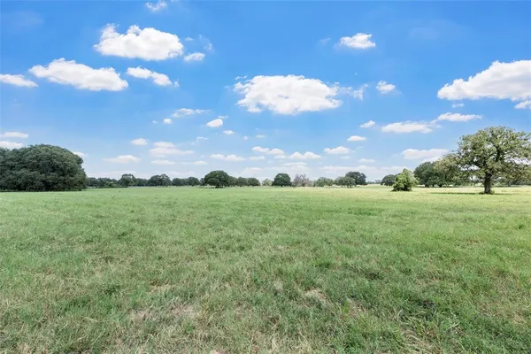 a view of a green field with trees in the background