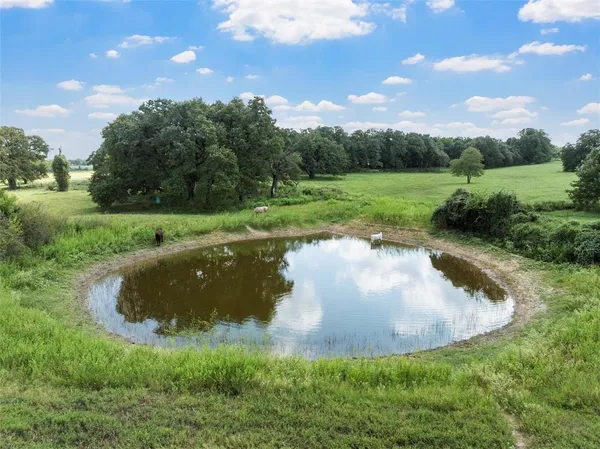 a view of a field with an trees in the background