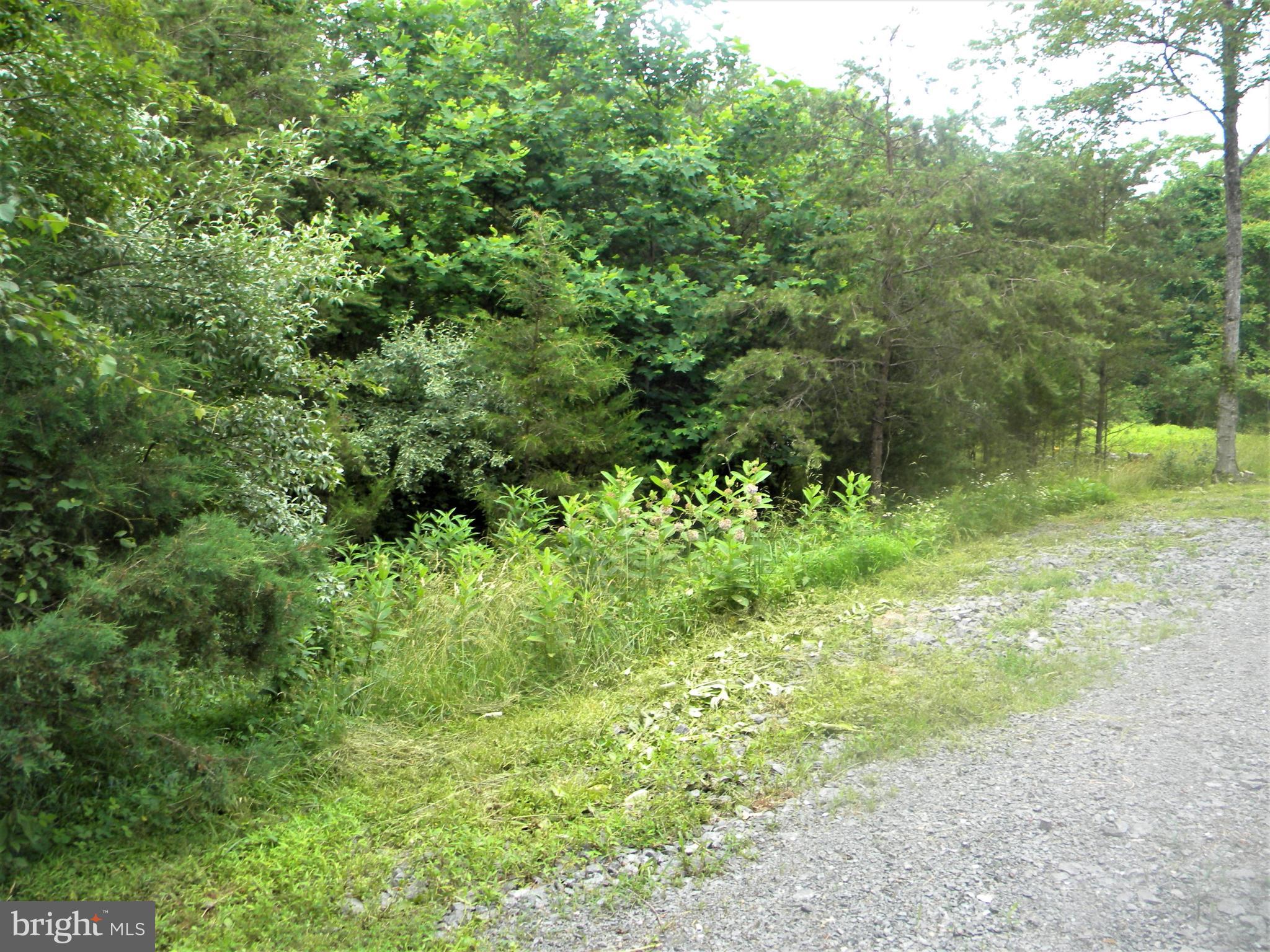 Hazel River Rixeyville, VA 22737 - Photo 2 of 41