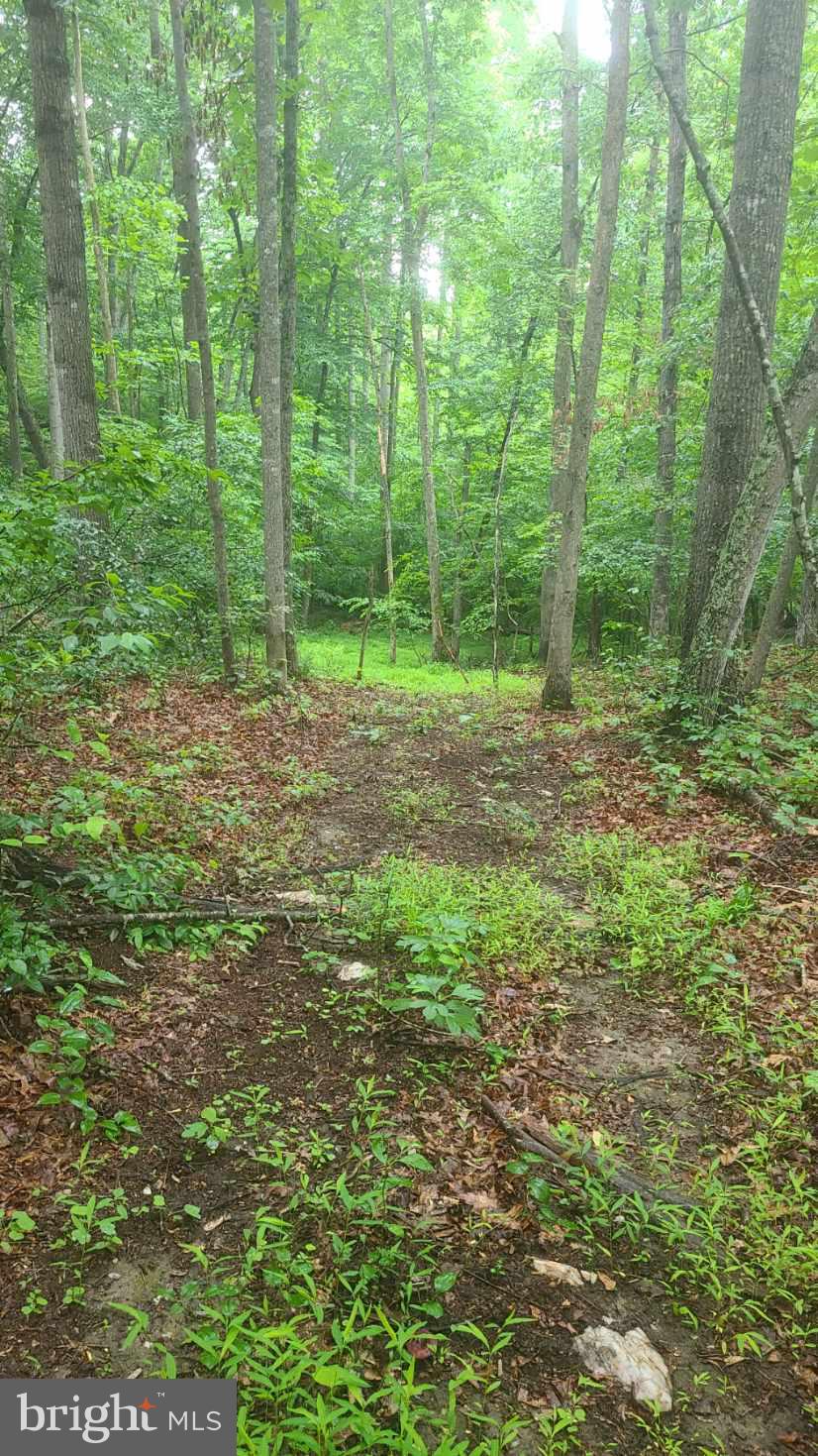 Hazel River Rixeyville, VA 22737 - Photo 13 of 41