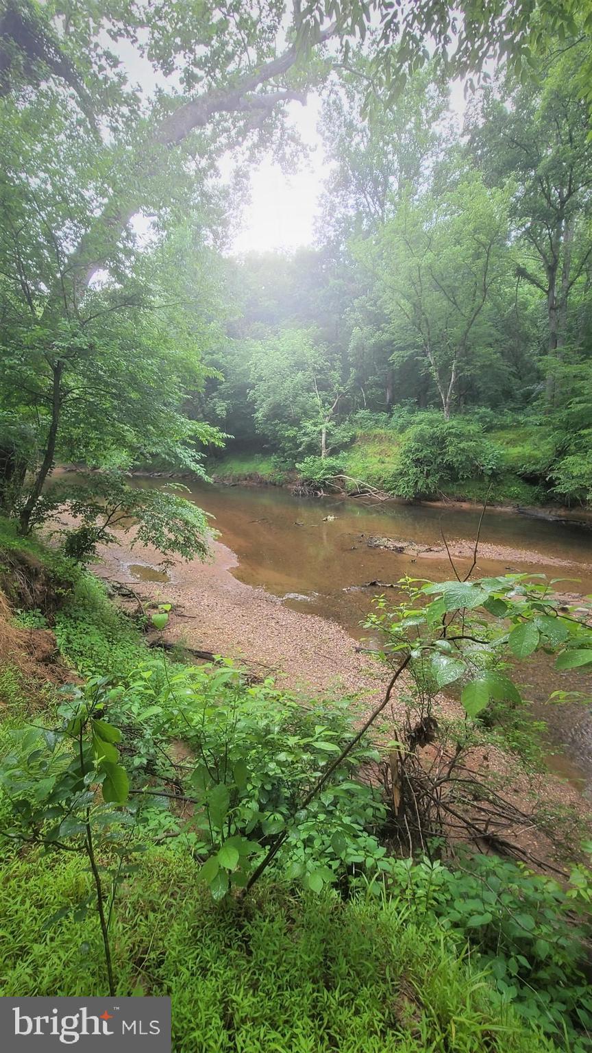 Hazel River Rixeyville, VA 22737 - Photo 14 of 41