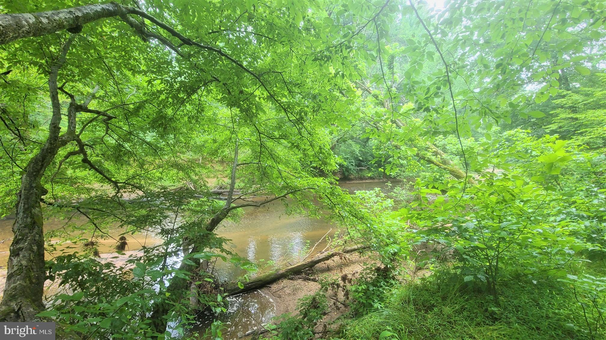 Hazel River Rixeyville, VA 22737 - Photo 16 of 41