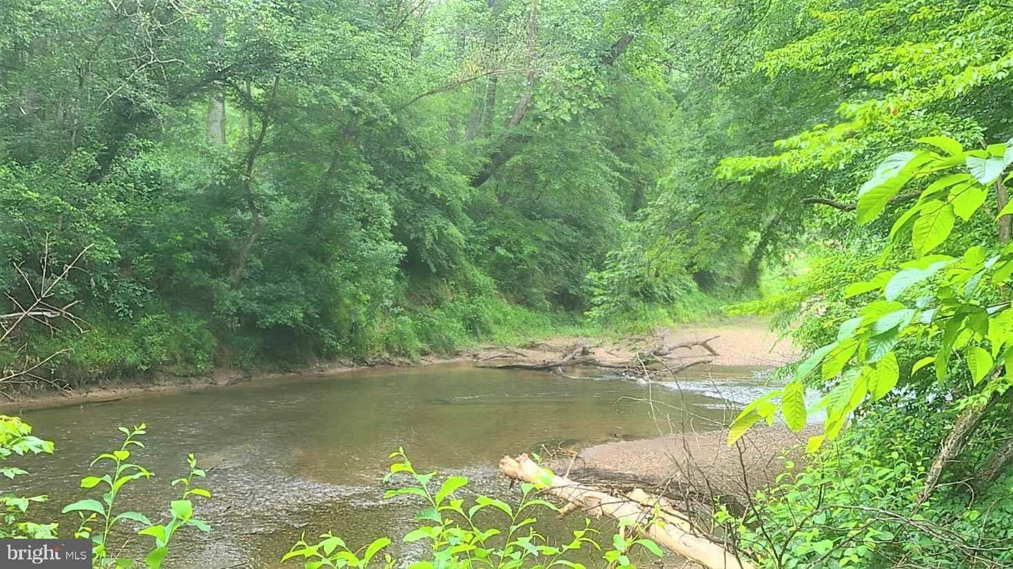 Hazel River Rixeyville, VA 22737 - Photo 17 of 41