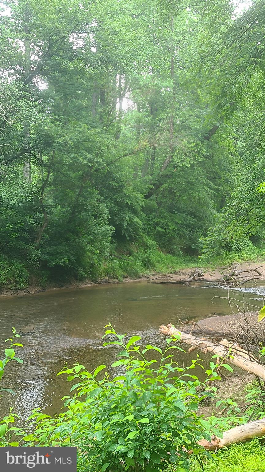 Hazel River Rixeyville, VA 22737 - Photo 18 of 41