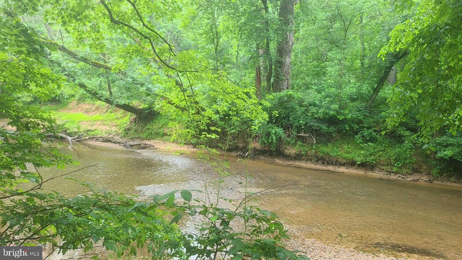 Hazel River Rixeyville, VA 22737 - Photo 19 of 41