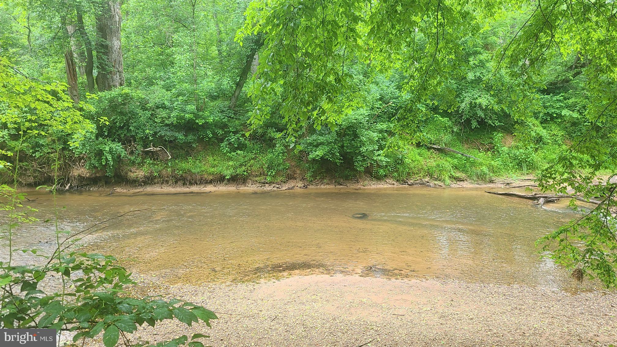 Hazel River Rixeyville, VA 22737 - Photo 20 of 41