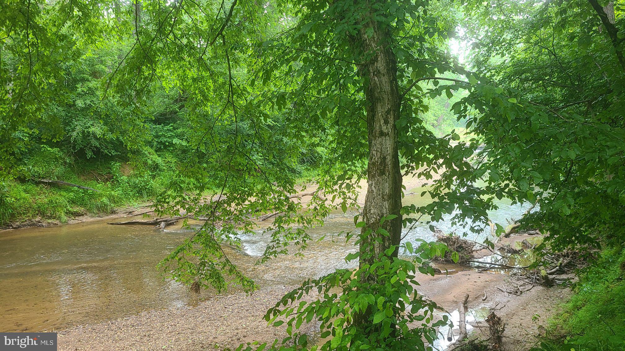 Hazel River Rixeyville, VA 22737 - Photo 21 of 41