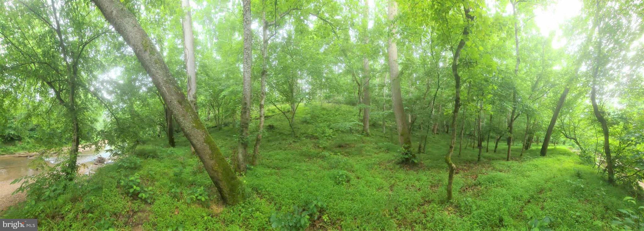 Hazel River Rixeyville, VA 22737 - Photo 23 of 41