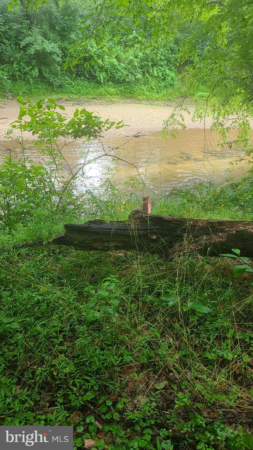 Hazel River Rixeyville, VA 22737 - Photo 24 of 41