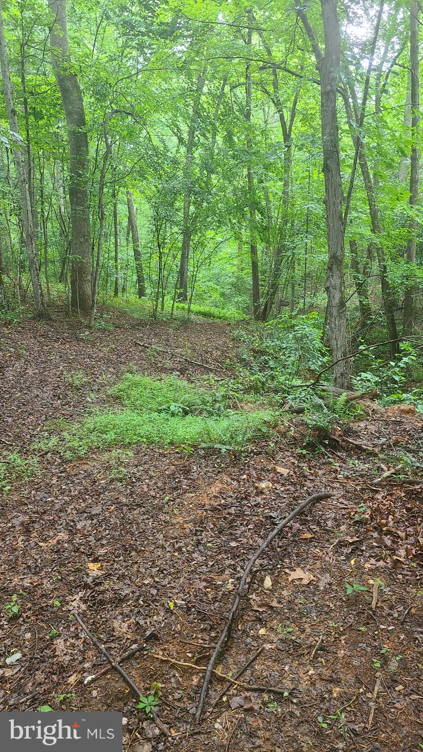 Hazel River Rixeyville, VA 22737 - Photo 26 of 41