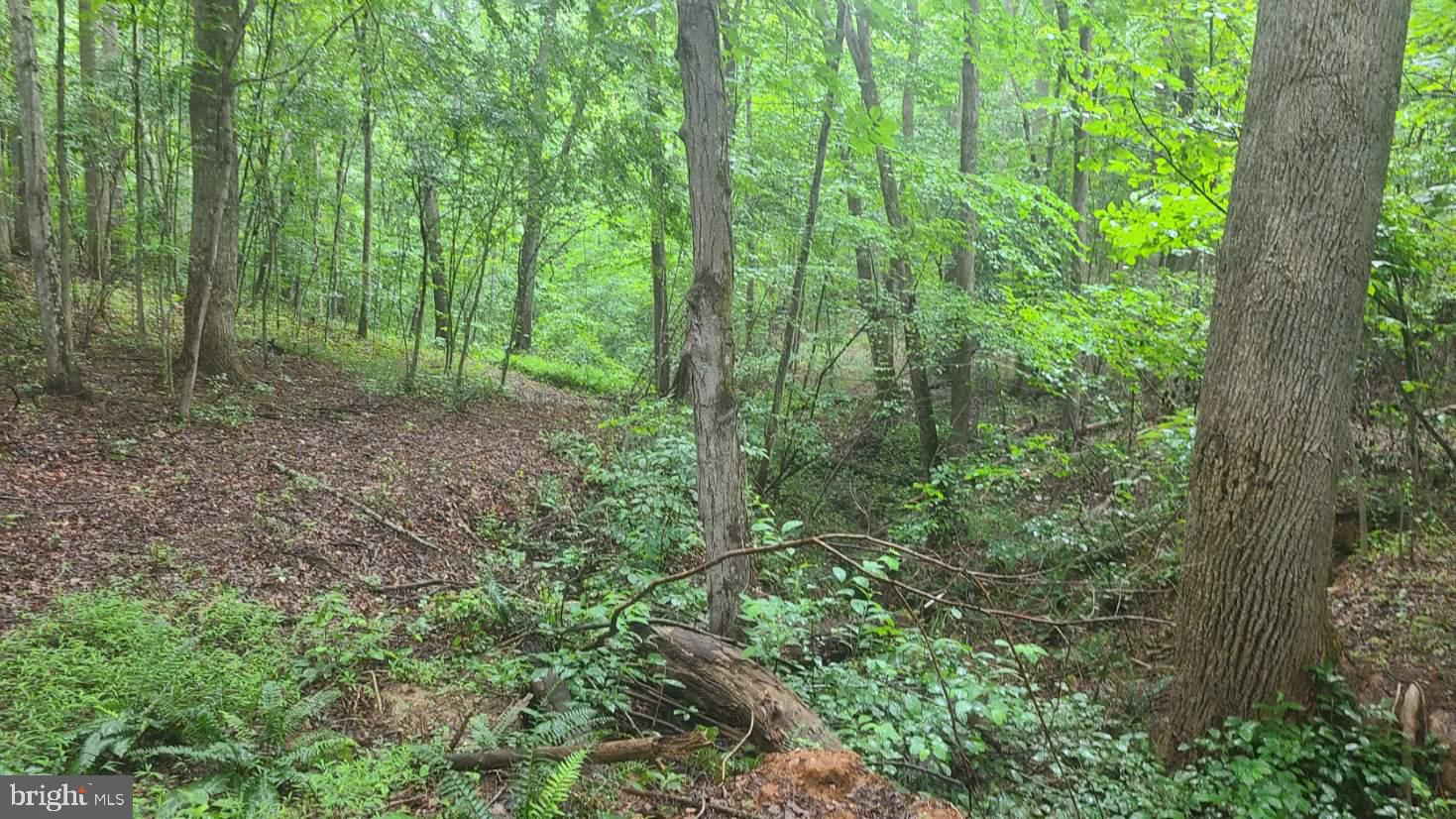 Hazel River Rixeyville, VA 22737 - Photo 27 of 41