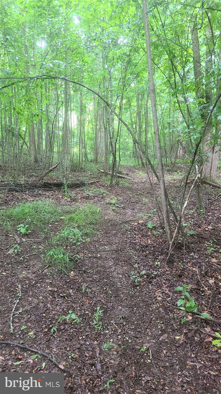 Hazel River Rixeyville, VA 22737 - Photo 28 of 41