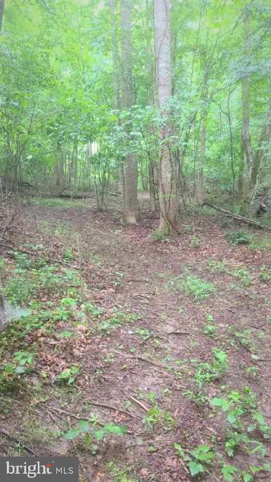 Hazel River Rixeyville, VA 22737 - Photo 29 of 41