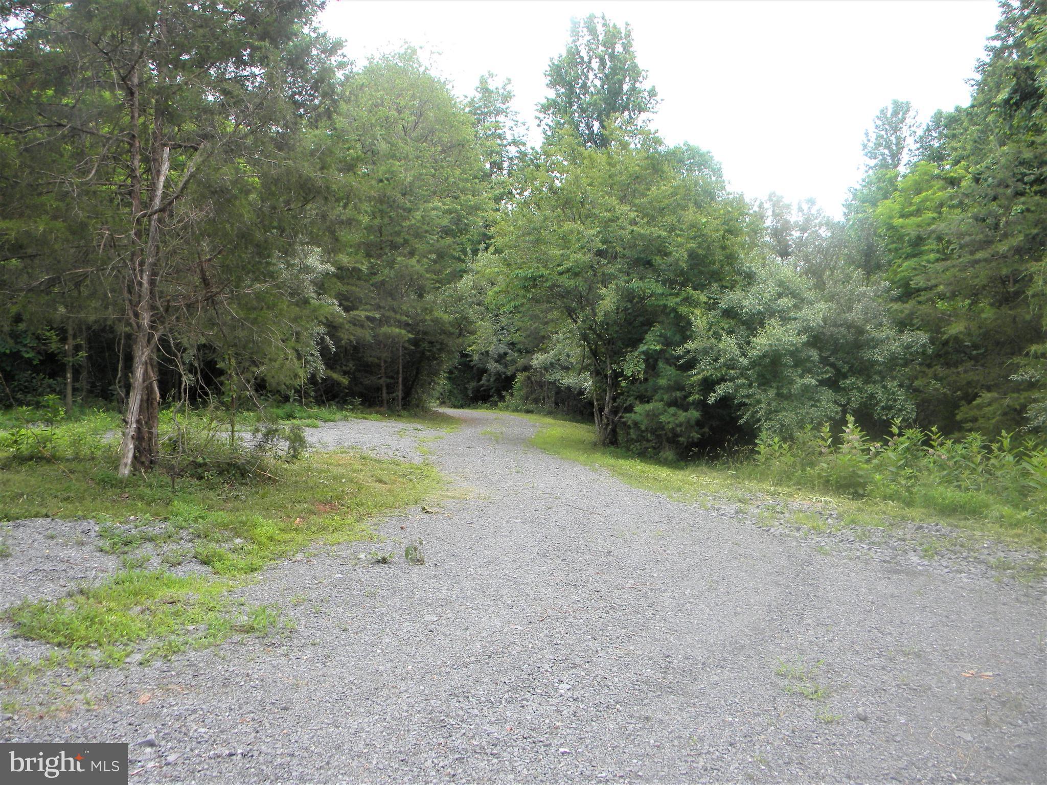 Hazel River Rixeyville, VA 22737 - Photo 4 of 41