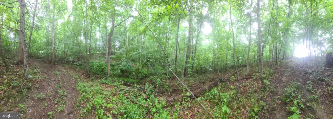 Hazel River Rixeyville, VA 22737 - Photo 31 of 41