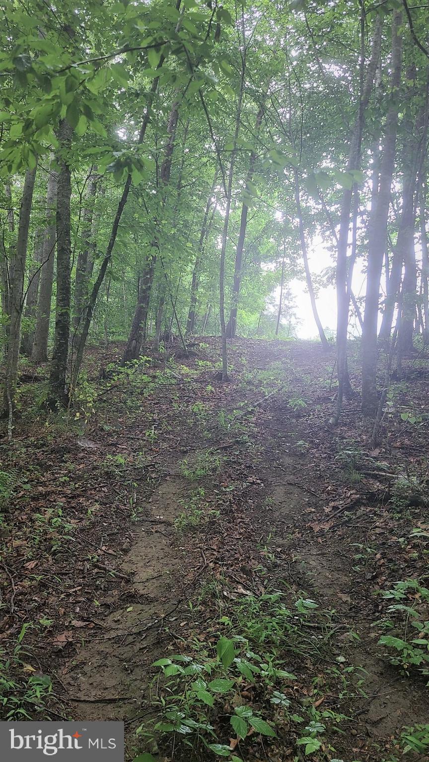 Hazel River Rixeyville, VA 22737 - Photo 32 of 41