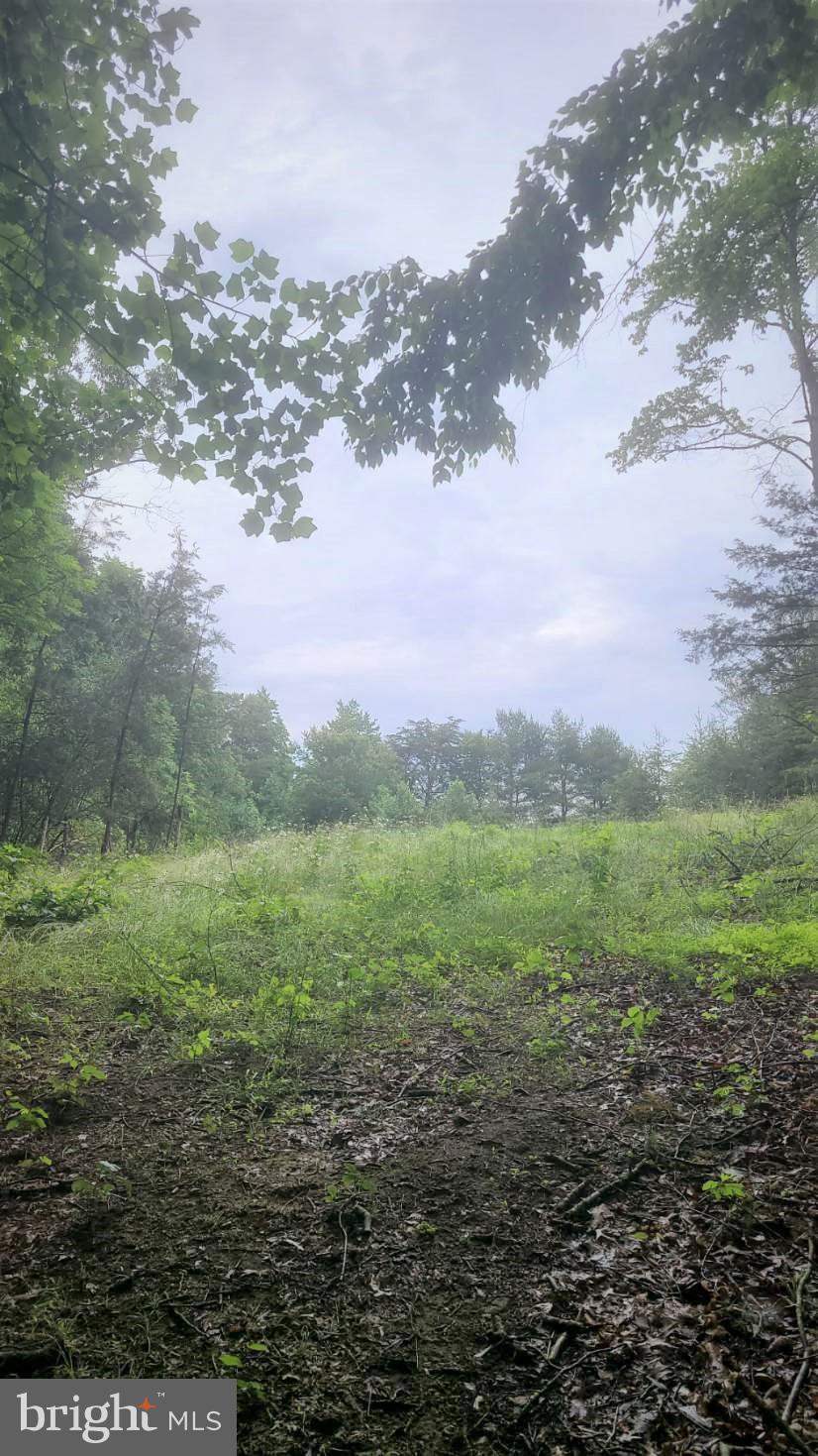 Hazel River Rixeyville, VA 22737 - Photo 33 of 41