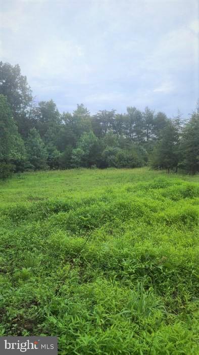 Hazel River Rixeyville, VA 22737 - Photo 35 of 41