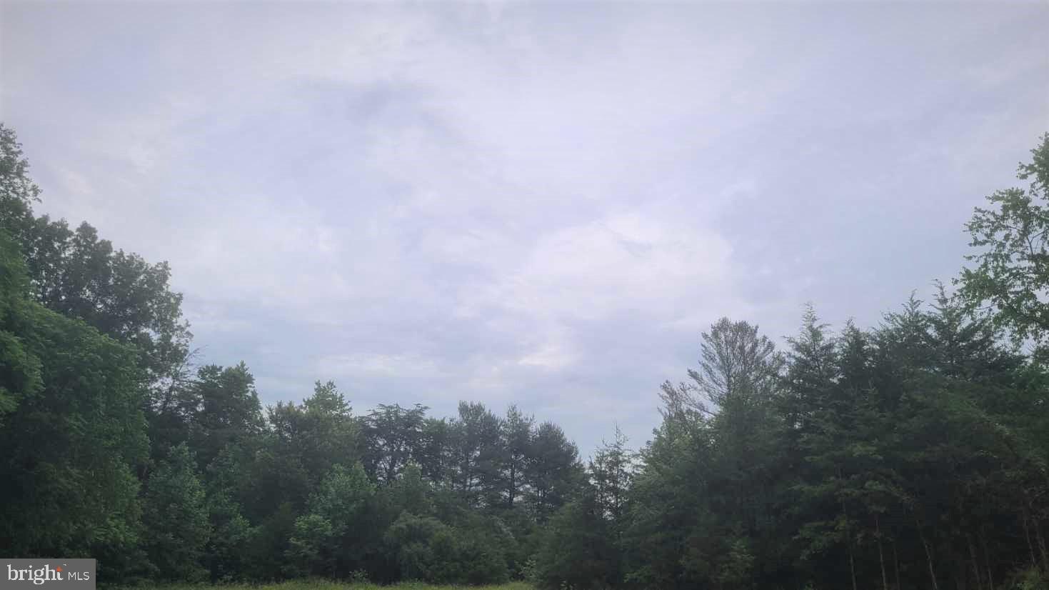 Hazel River Rixeyville, VA 22737 - Photo 37 of 41