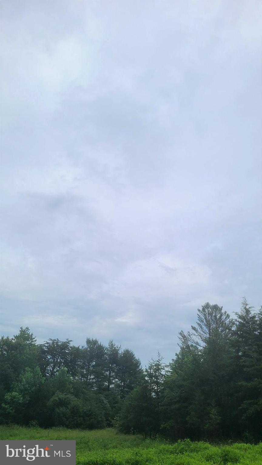 Hazel River Rixeyville, VA 22737 - Photo 38 of 41