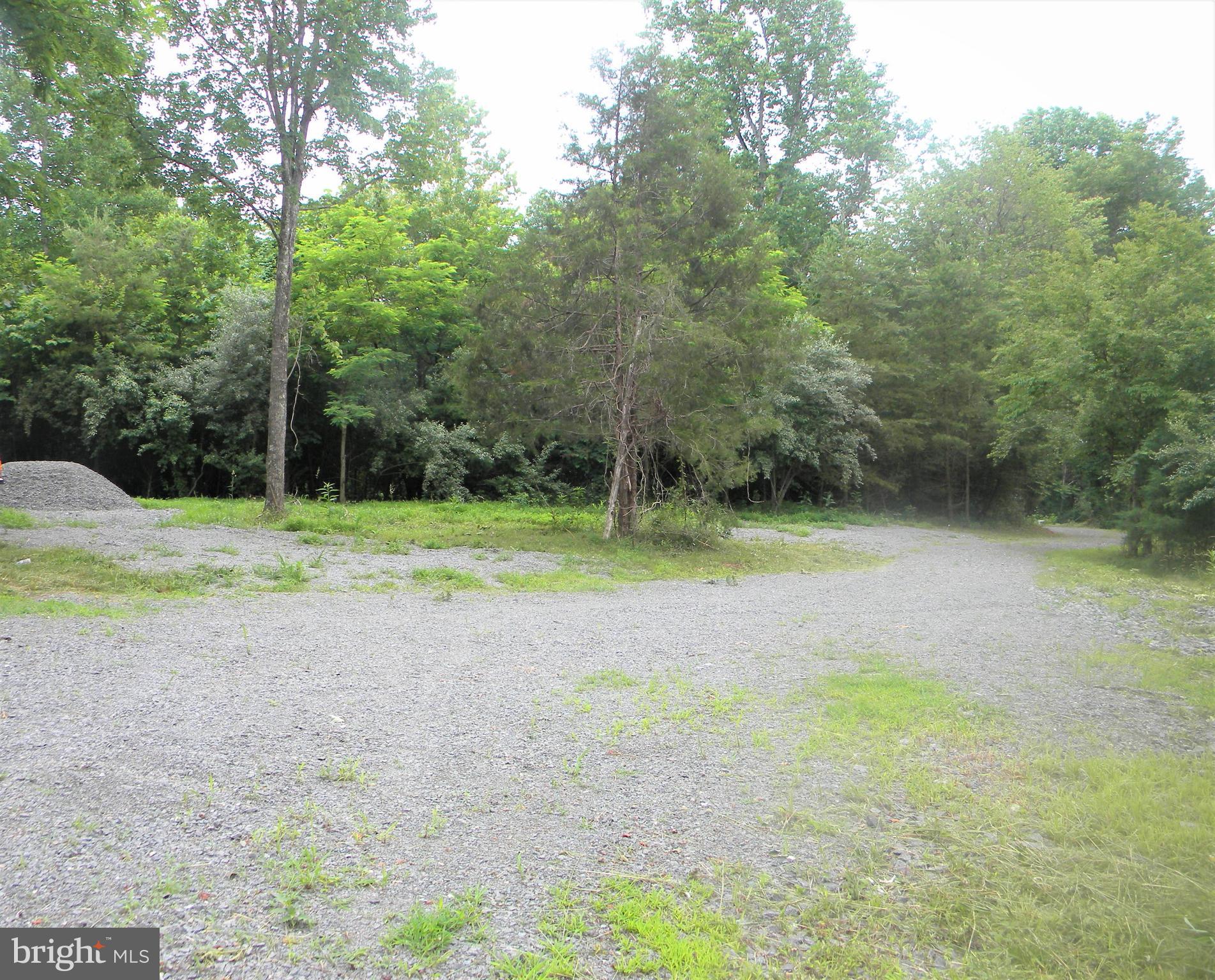 Hazel River Rixeyville, VA 22737 - Photo 5 of 41 Circular drive and parking area