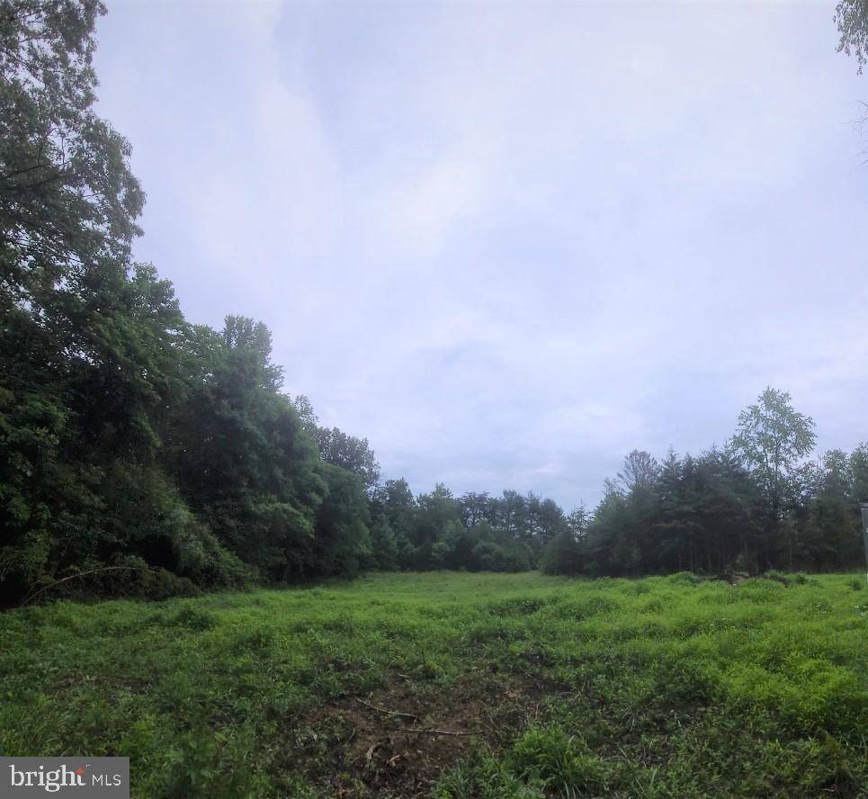 Hazel River Rixeyville, VA 22737 - Photo 41 of 41