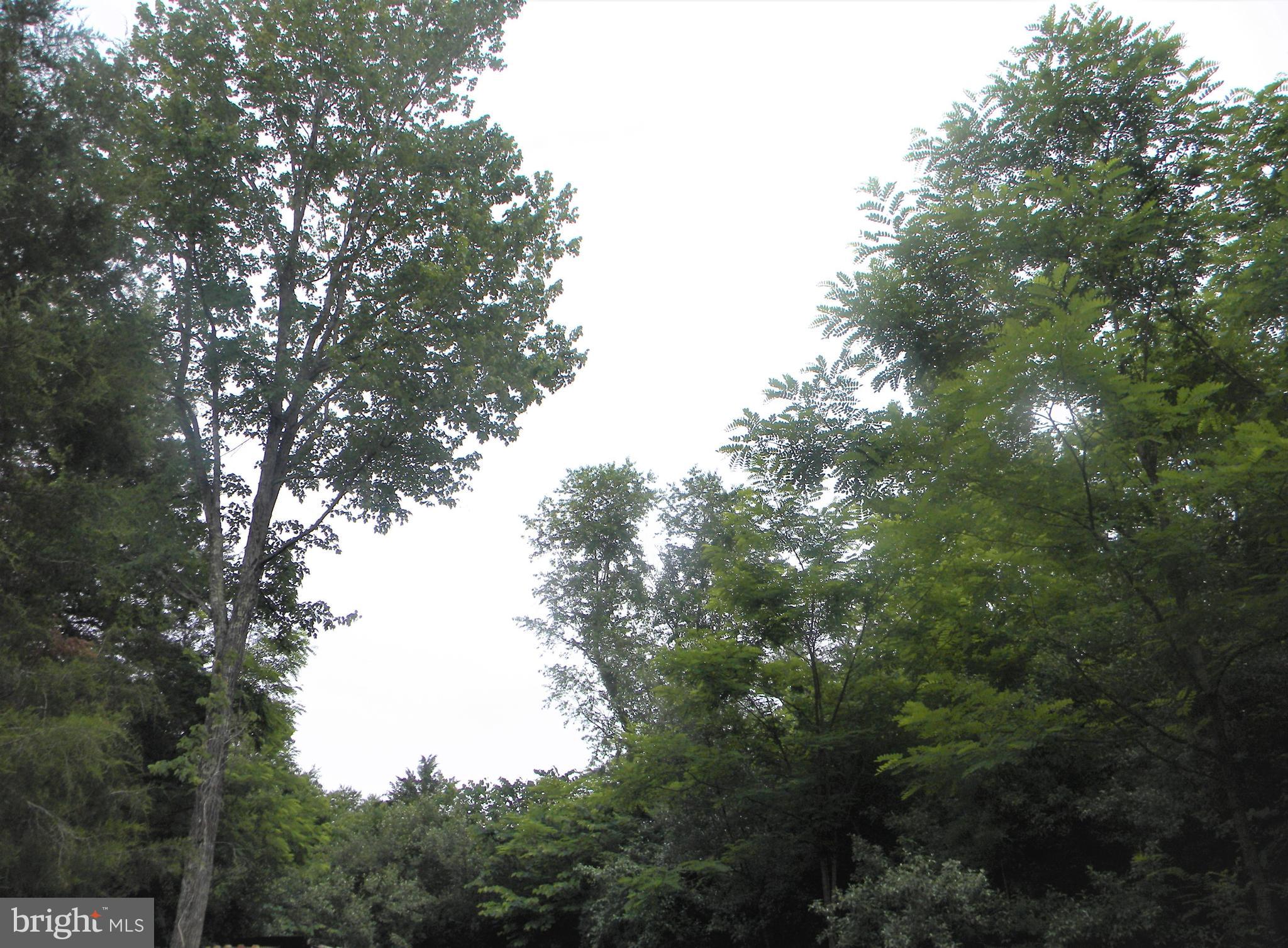 Hazel River Rixeyville, VA 22737 - Photo 6 of 41