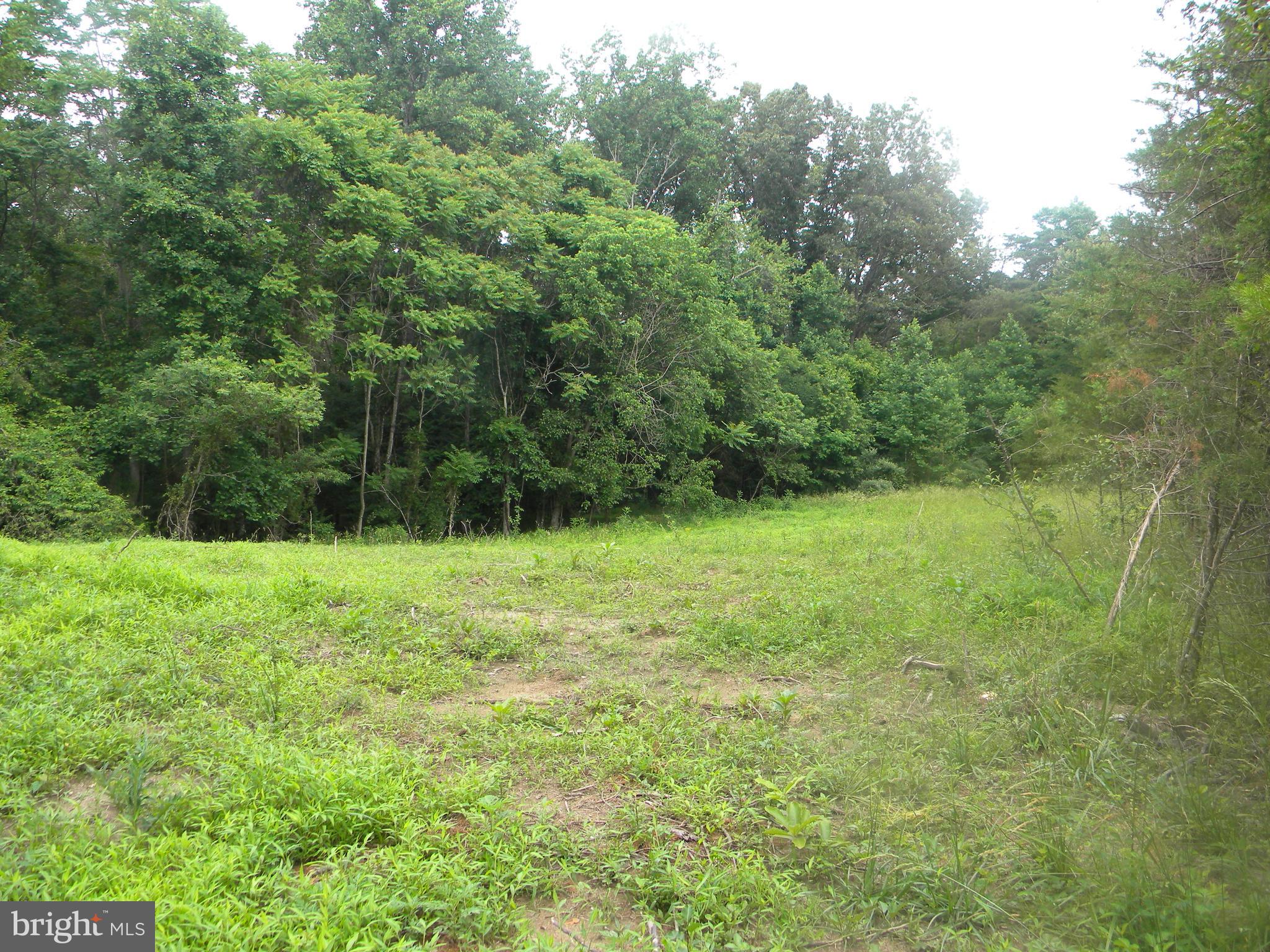 Hazel River Rixeyville, VA 22737 - Photo 7 of 41 1 proposed building site