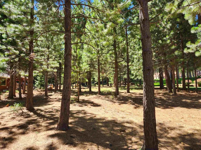 a street sign next to a road