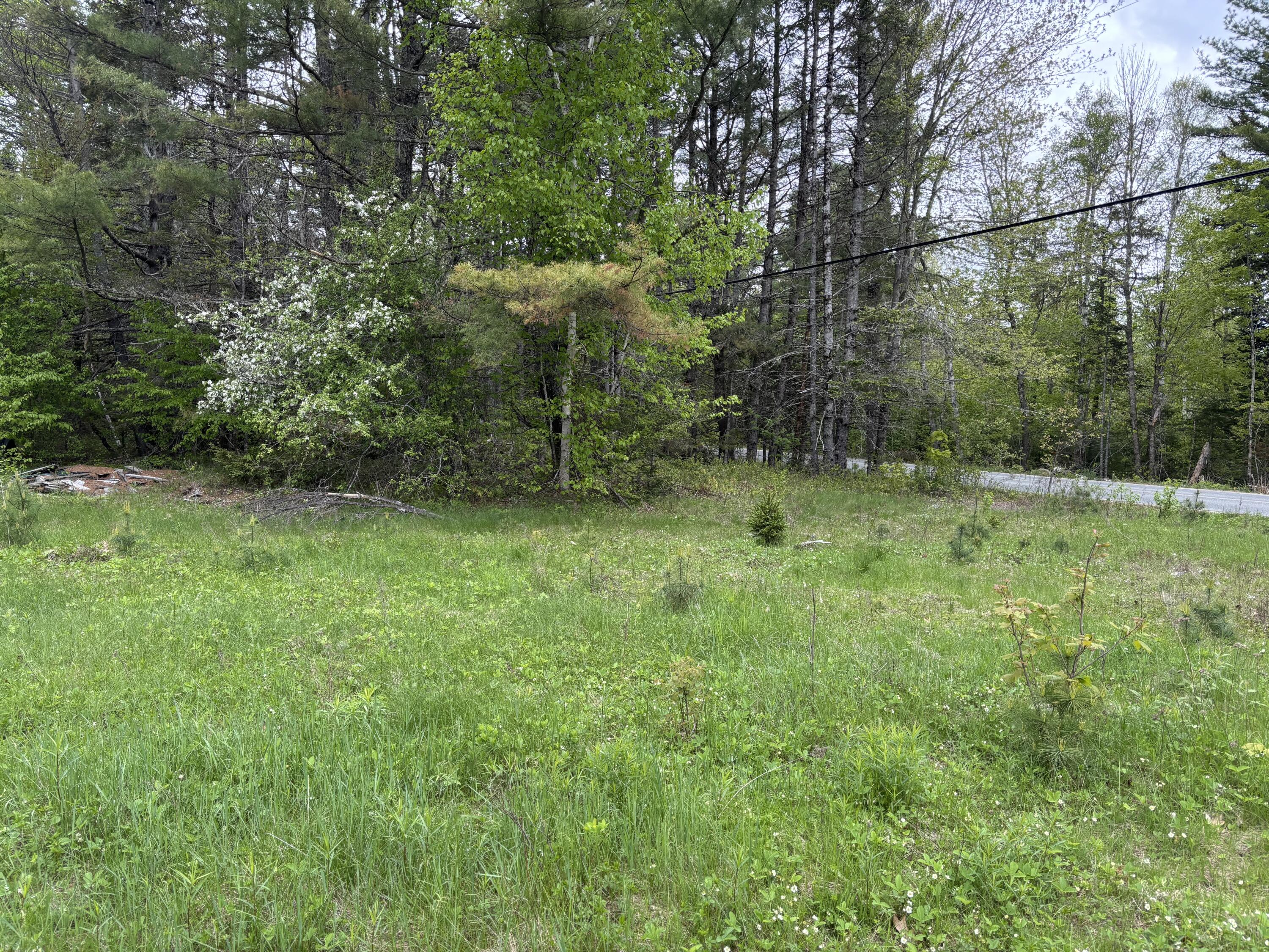 Lot# 4-7 Lot#4-7 Macomber Mill Road Eastbrook, ME 04634 - Photo 11 of 16 IMG_9740