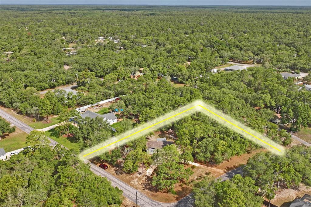 14345 Missouri Skylark Road Weeki Wachee, FL 34614 - Photo 44 of 46