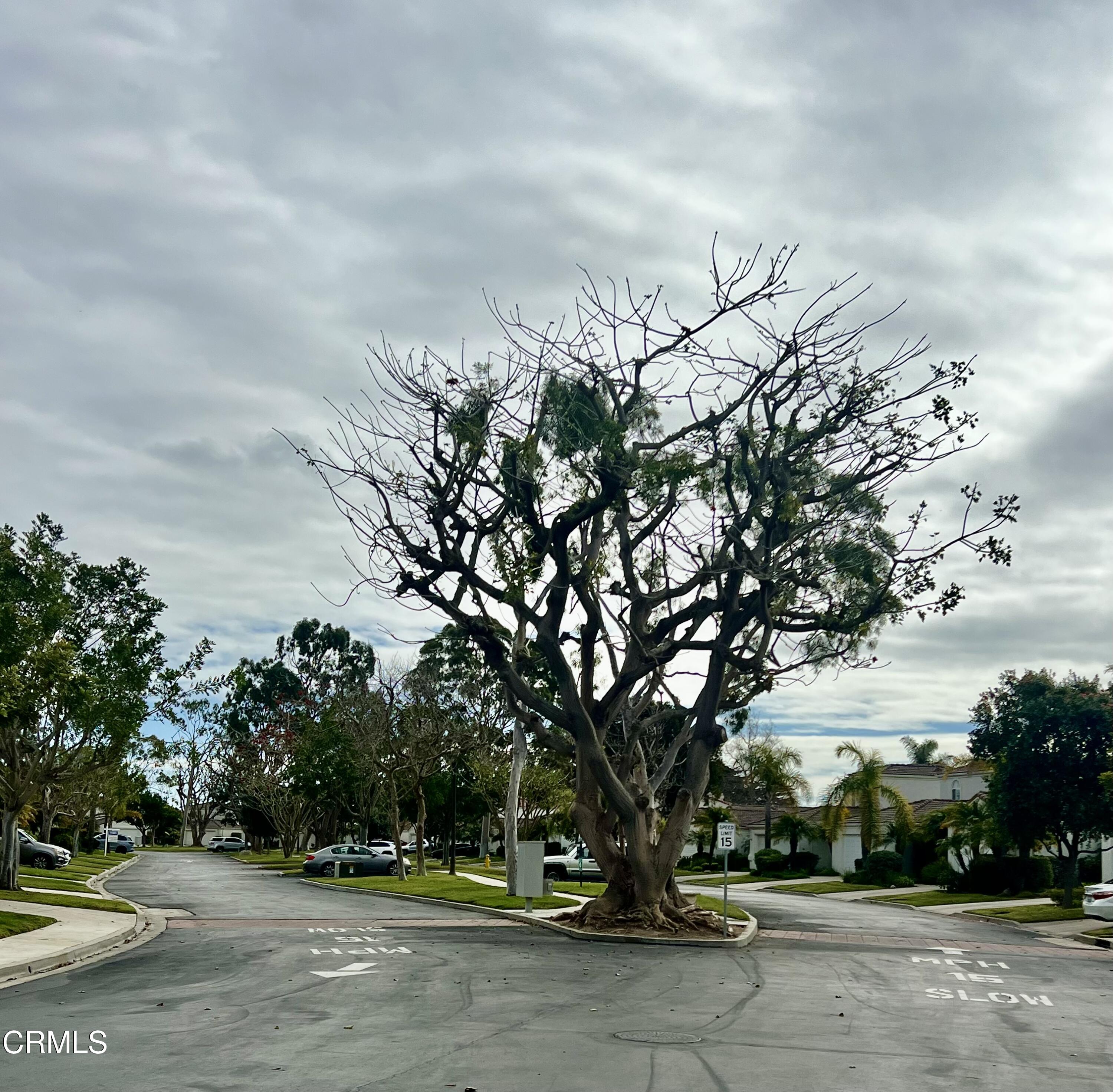2129 Bermuda Dunes Place Oxnard, CA 93036 - Photo 42 of 42