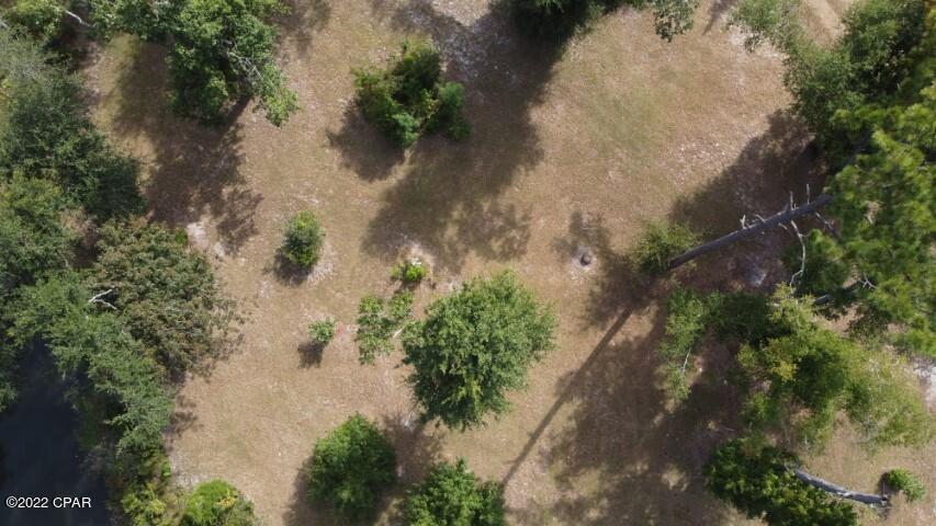 13678 Cricket Road Altha, FL 32421 - Photo 43 of 44 Gallery Image 43