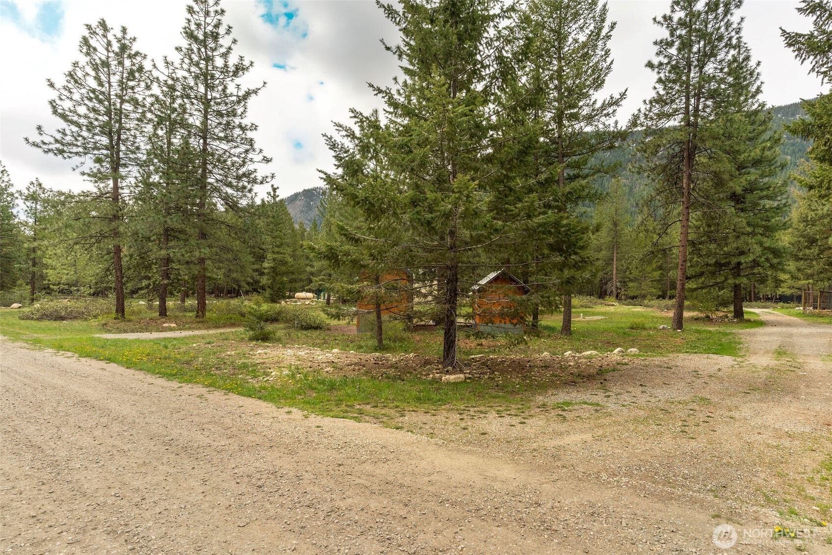 11 Littell Road Mazama, WA 98833 - Photo 14 of 15 a view of backyard with green space