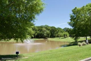 209 Porch View Drive Lafayette, LA 70508 - Photo 18 of 18 DSC_0247