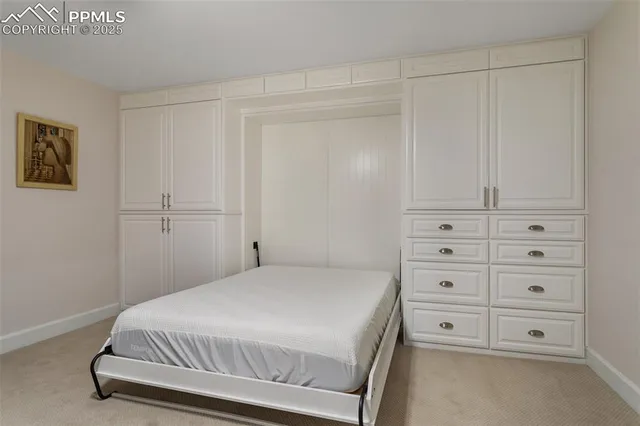 a bedroom with a bed and a closet